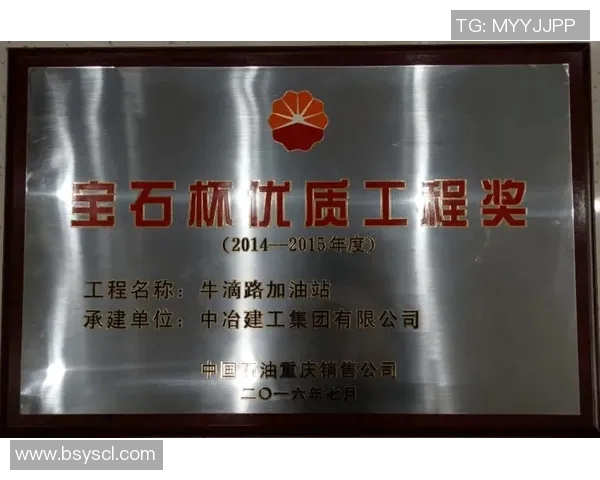 重庆足球队转型之路的真实记录与未来展望