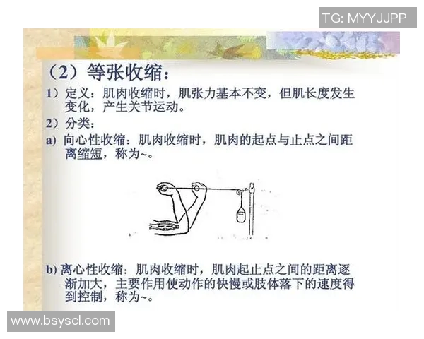 西安排球队耐力提升策略与训练方法的深入分析与探讨